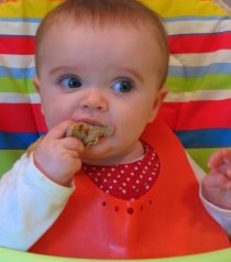 My Bone to Pick with Baby-Led Weaning