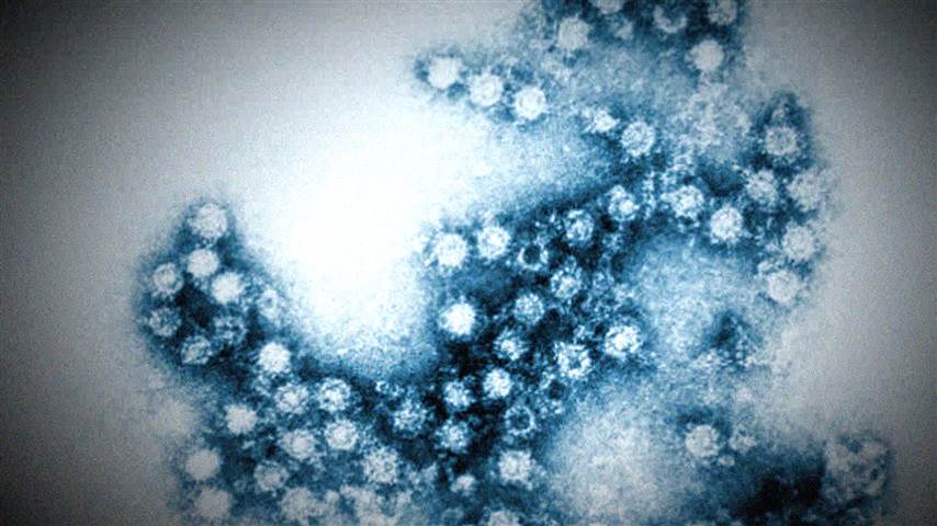 What Enterovirus D68 and Polio Have In Common Now